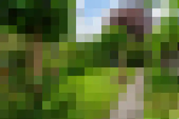 Grindweg 58 Rotterdam thumbnail 8