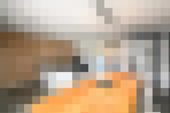 Grindweg 84 Wolvega thumbnail 11
