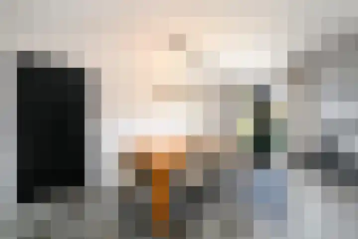 Grindweg 84 Wolvega thumbnail 13