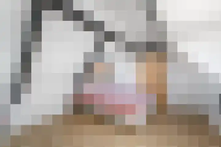 Grindweg 84 Wolvega thumbnail 23