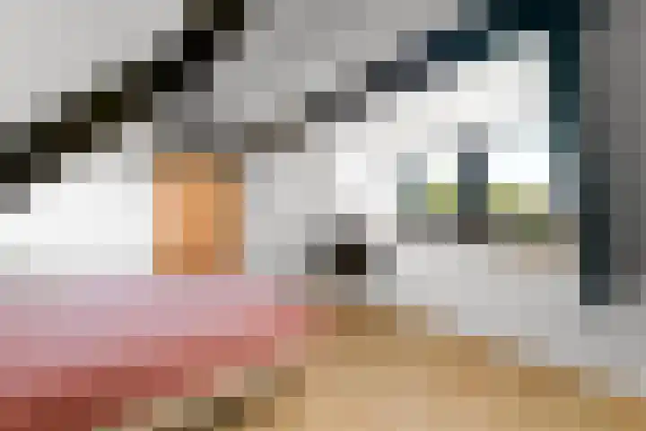Grindweg 84 Wolvega thumbnail 24