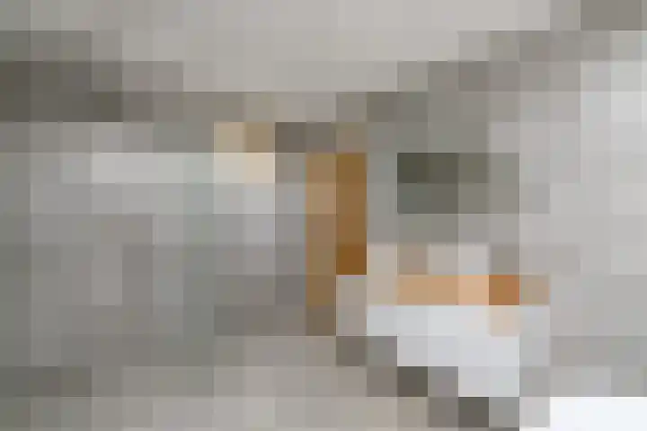 Grindweg 84 Wolvega thumbnail 33
