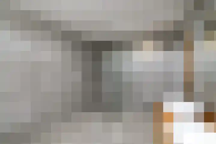 Grindweg 84 Wolvega thumbnail 34