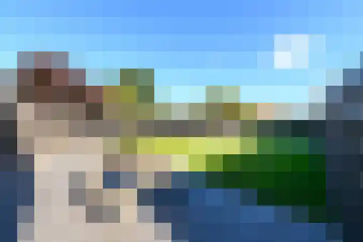 Grindweg 84 Wolvega thumbnail 40