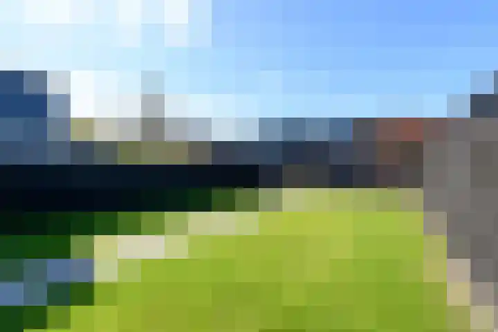 Grindweg 84 Wolvega thumbnail 45
