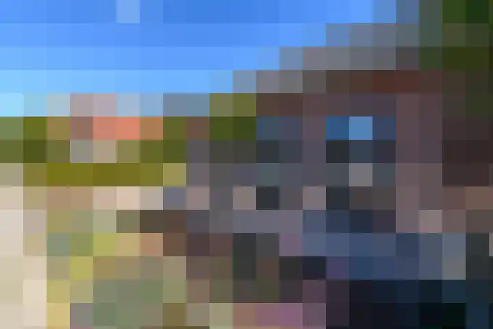 Grindweg 84 Wolvega thumbnail 47