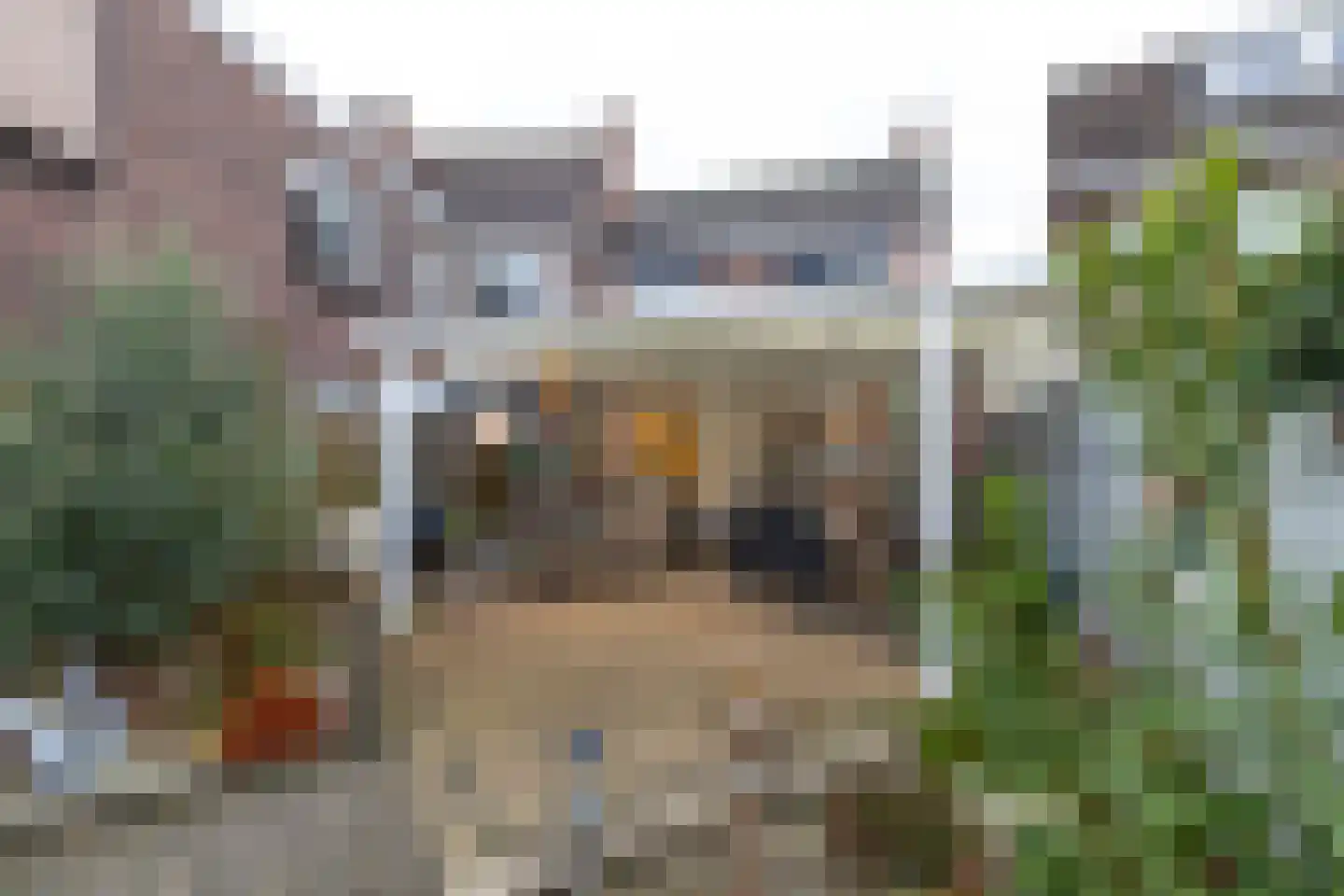 Gringelstraat 18 Heerlen thumbnail 28