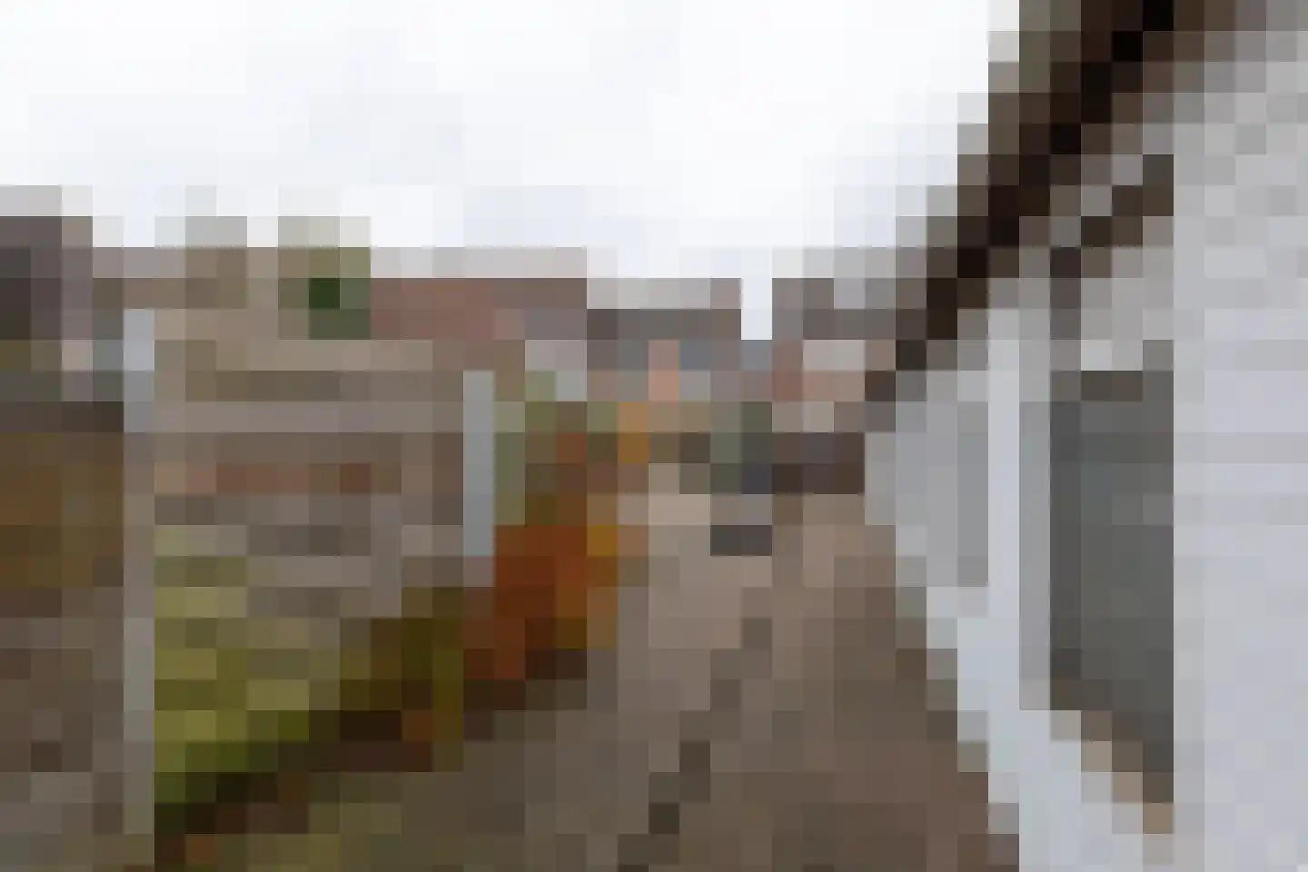 Gringelstraat 18 Heerlen thumbnail 30