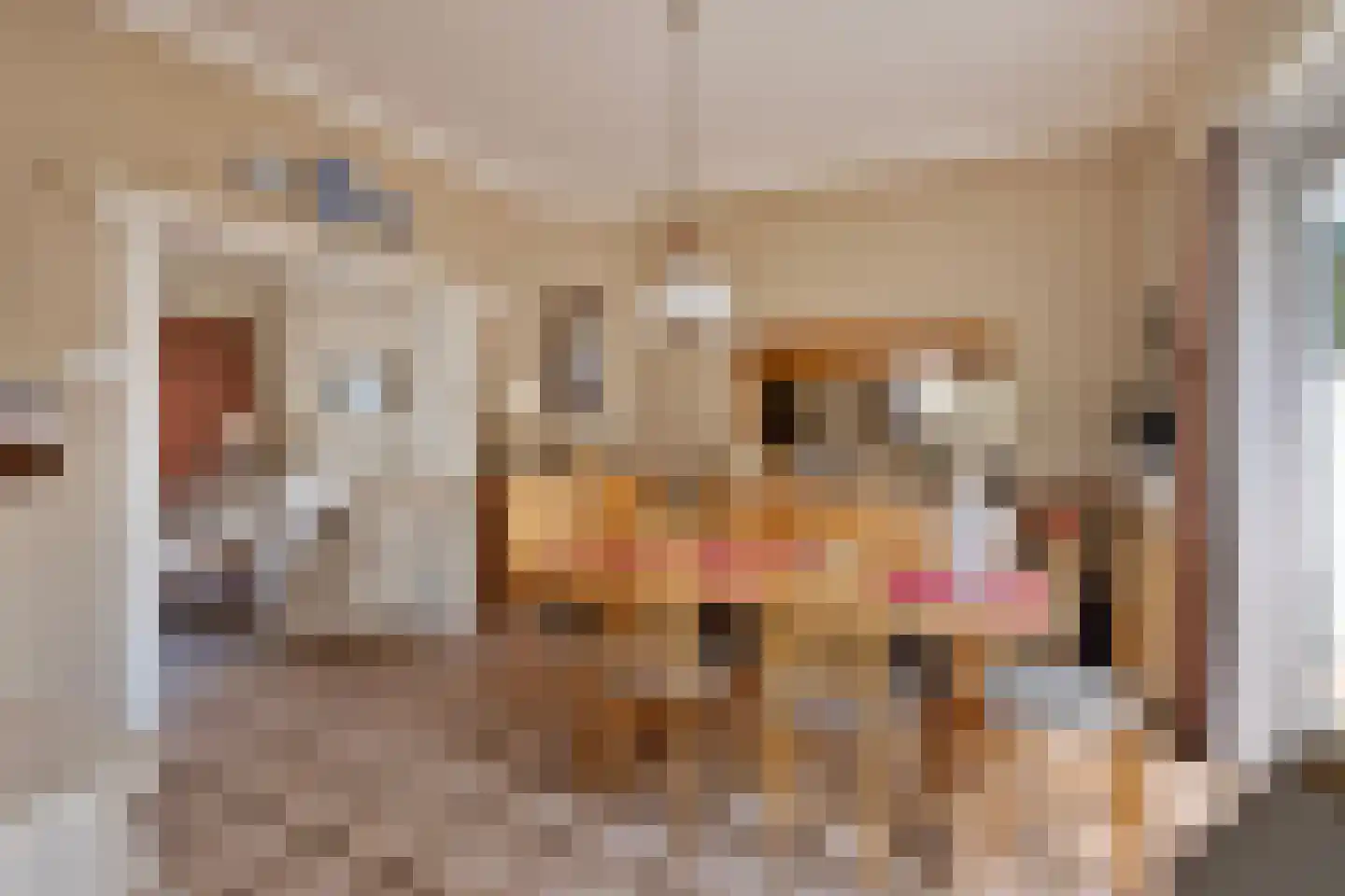 Gringelstraat 8 Heerlen thumbnail 9