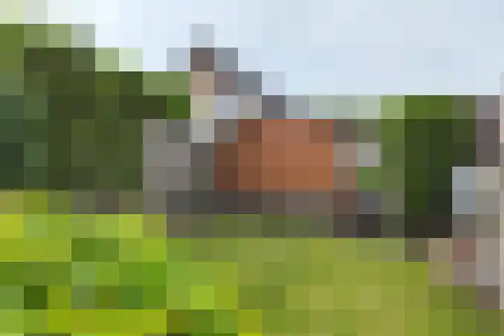 Grintweg 11 a Moerdijk thumbnail 58