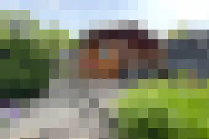 Grintweg 11 a Moerdijk thumbnail 6