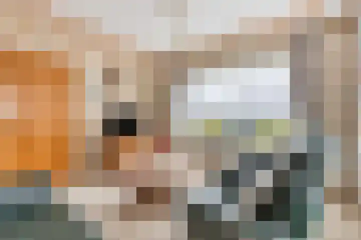 Grintweg 66 Moerdijk thumbnail 11