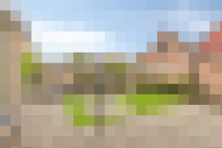 Grintweg 66 Moerdijk thumbnail 38