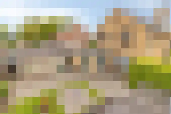 Grintweg 66 Moerdijk thumbnail 46