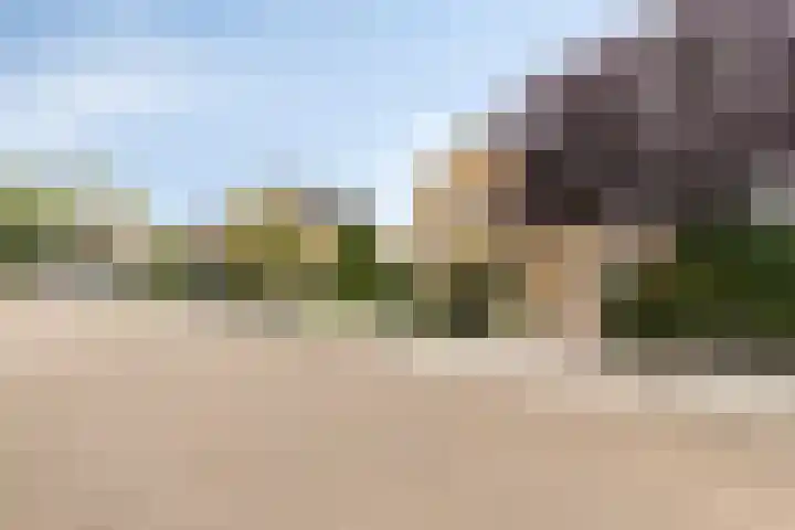 Grintweg 66 Moerdijk thumbnail 5
