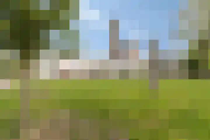 Grintweg 66 Moerdijk thumbnail 51