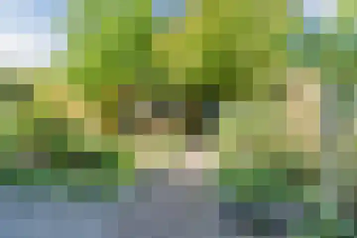 Grobbendonckpark 7 Goirle thumbnail 22