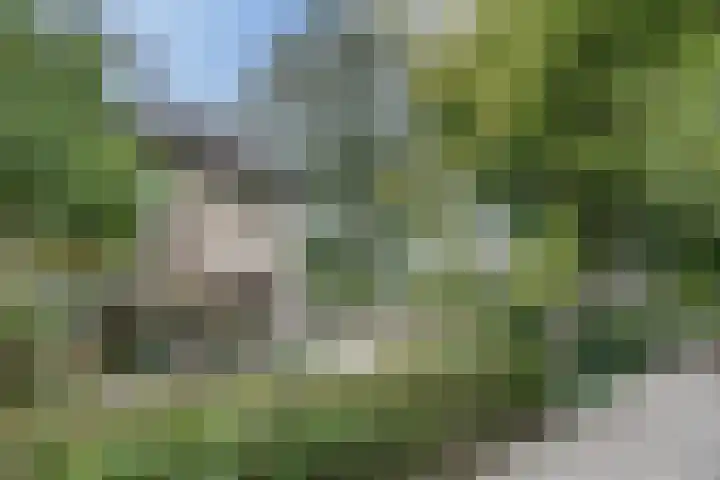 Grobbendonckpark 7 Goirle thumbnail 30