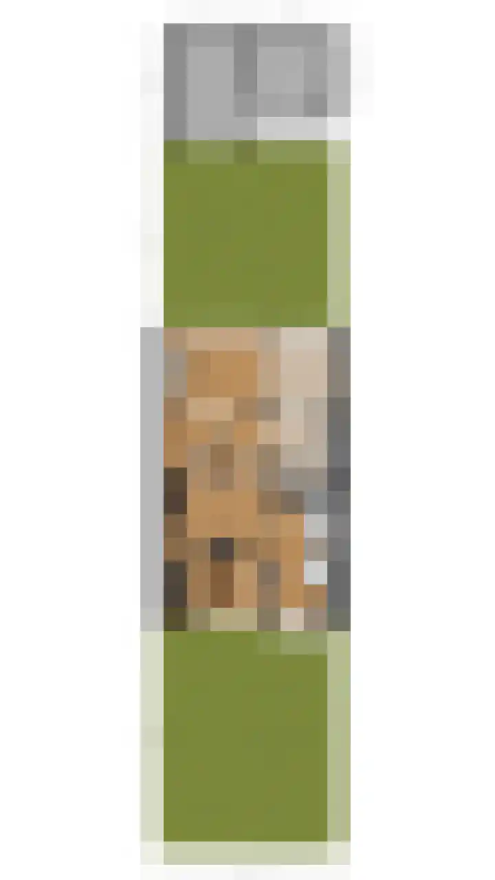 Grobbendonckpark 7 Goirle thumbnail 34