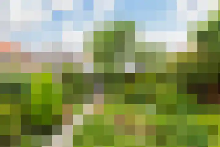 Groen van Prinstererkade 5 Maassluis thumbnail 23