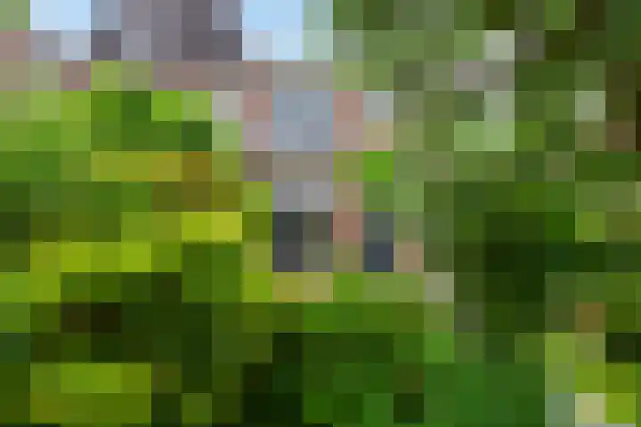 Groen van Prinstererkade 5 Maassluis thumbnail 26
