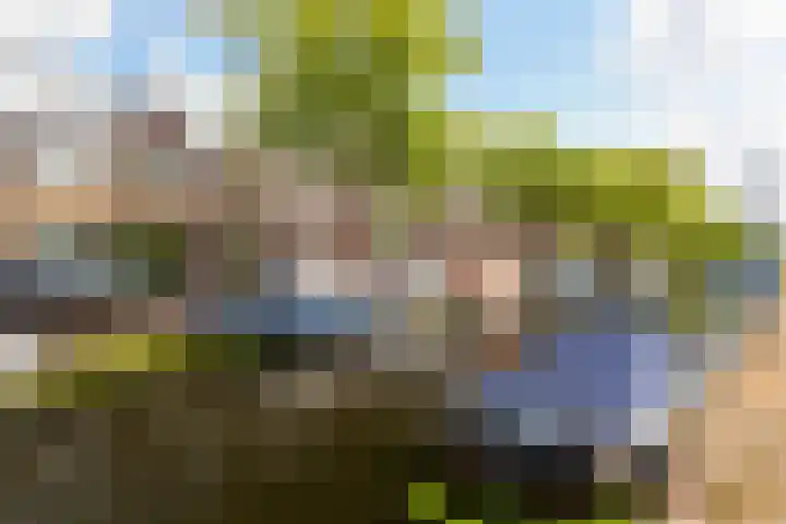 Groen van Prinstererkade 5 Maassluis thumbnail 5