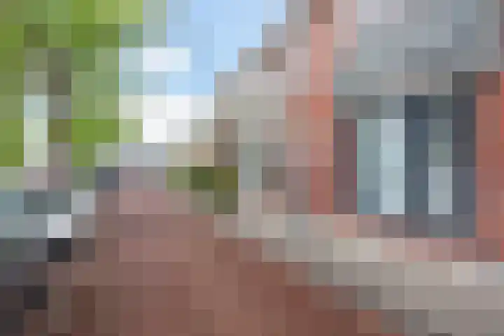 Groen van Prinstererkade 5 Maassluis thumbnail 8