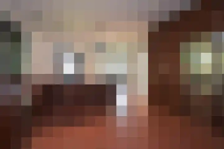 Groen van Prinstererlaan 1 E Wassenaar thumbnail 13