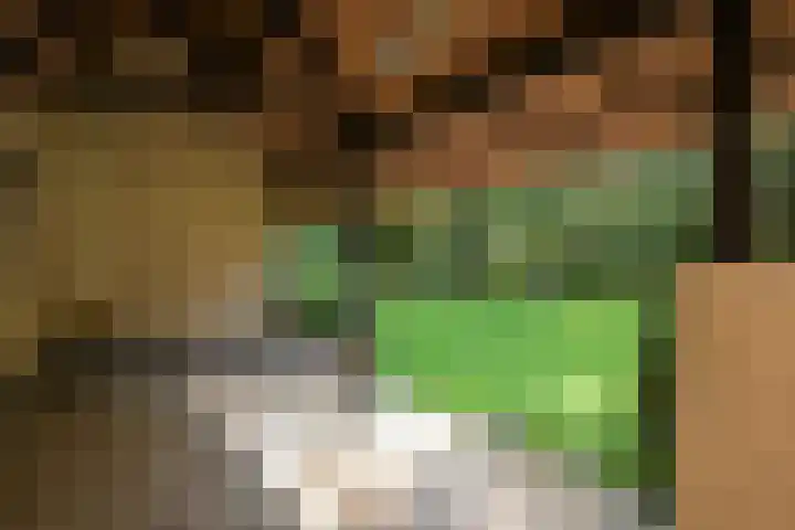 Groen van Prinstererlaan 1 E Wassenaar thumbnail 16