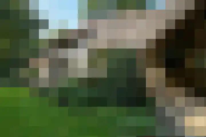 Groen van Prinstererlaan 1 E Wassenaar thumbnail 17
