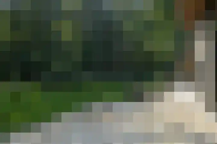 Groen van Prinstererlaan 1 E Wassenaar thumbnail 18