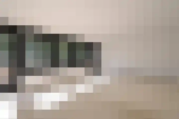 Groen van Prinstererlaan 1 E Wassenaar thumbnail 23