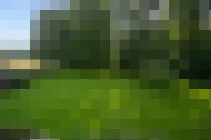 Groen van Prinstererlaan 1 E Wassenaar thumbnail 25