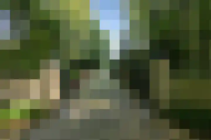 Groen van Prinstererlaan 1 E Wassenaar thumbnail 4