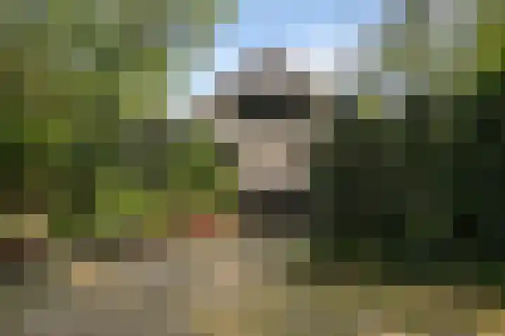 Groen van Prinstererlaan 1 E Wassenaar thumbnail 5