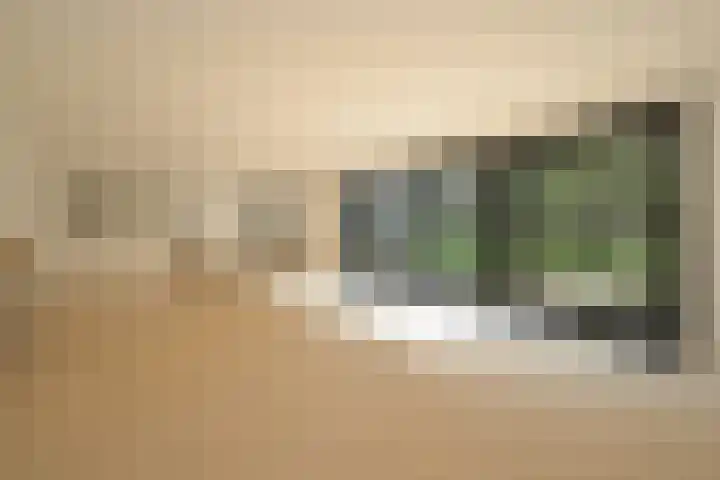 Groen van Prinstererlaan 1 E Wassenaar thumbnail 8