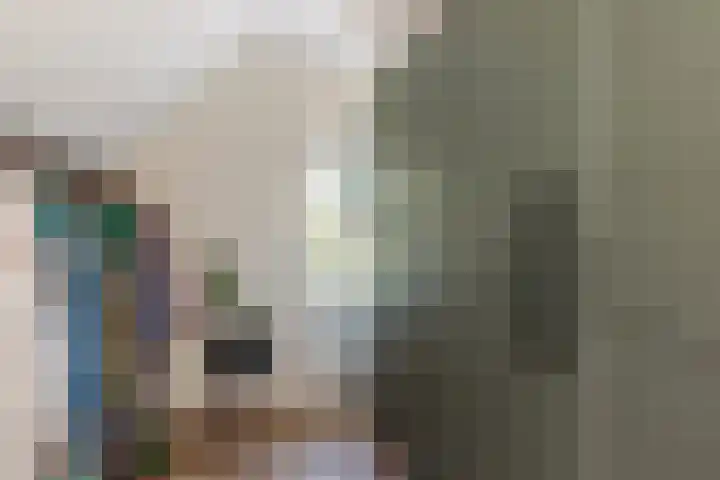Groen van Prinstererlaan 13 Enschede thumbnail 17