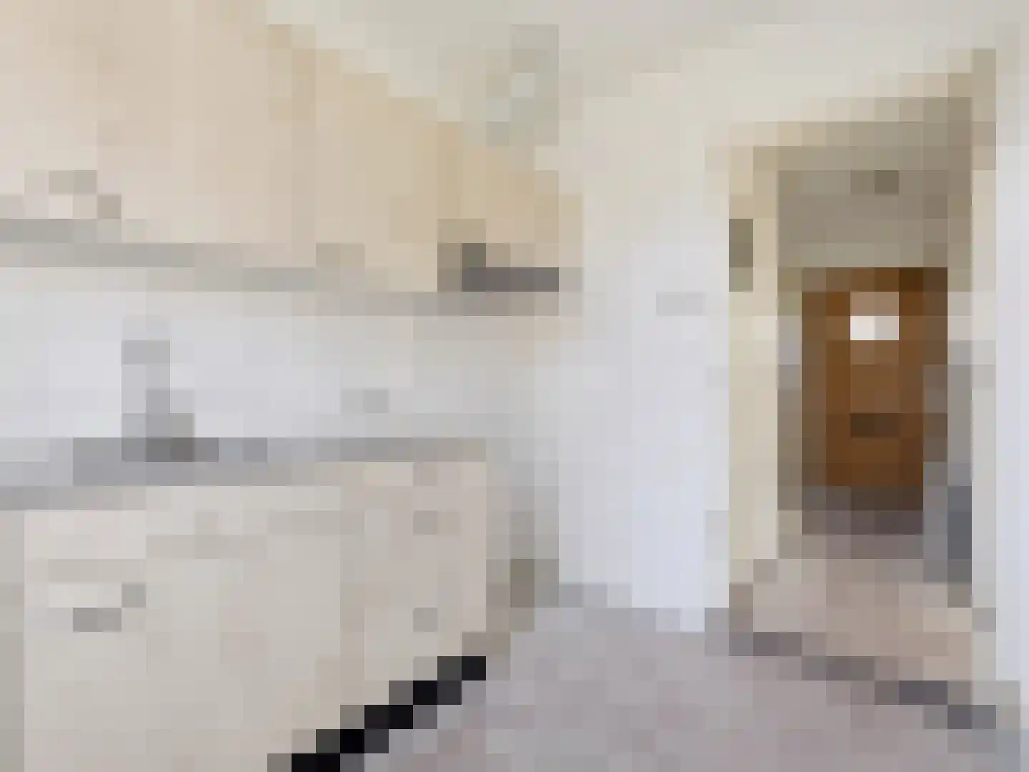 Groen van Prinstererstraat 17 Zutphen thumbnail 10