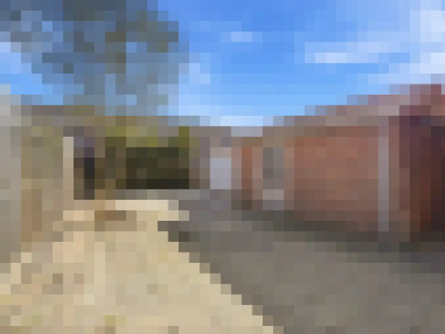 Groen van Prinstererstraat 17 Zutphen thumbnail 22