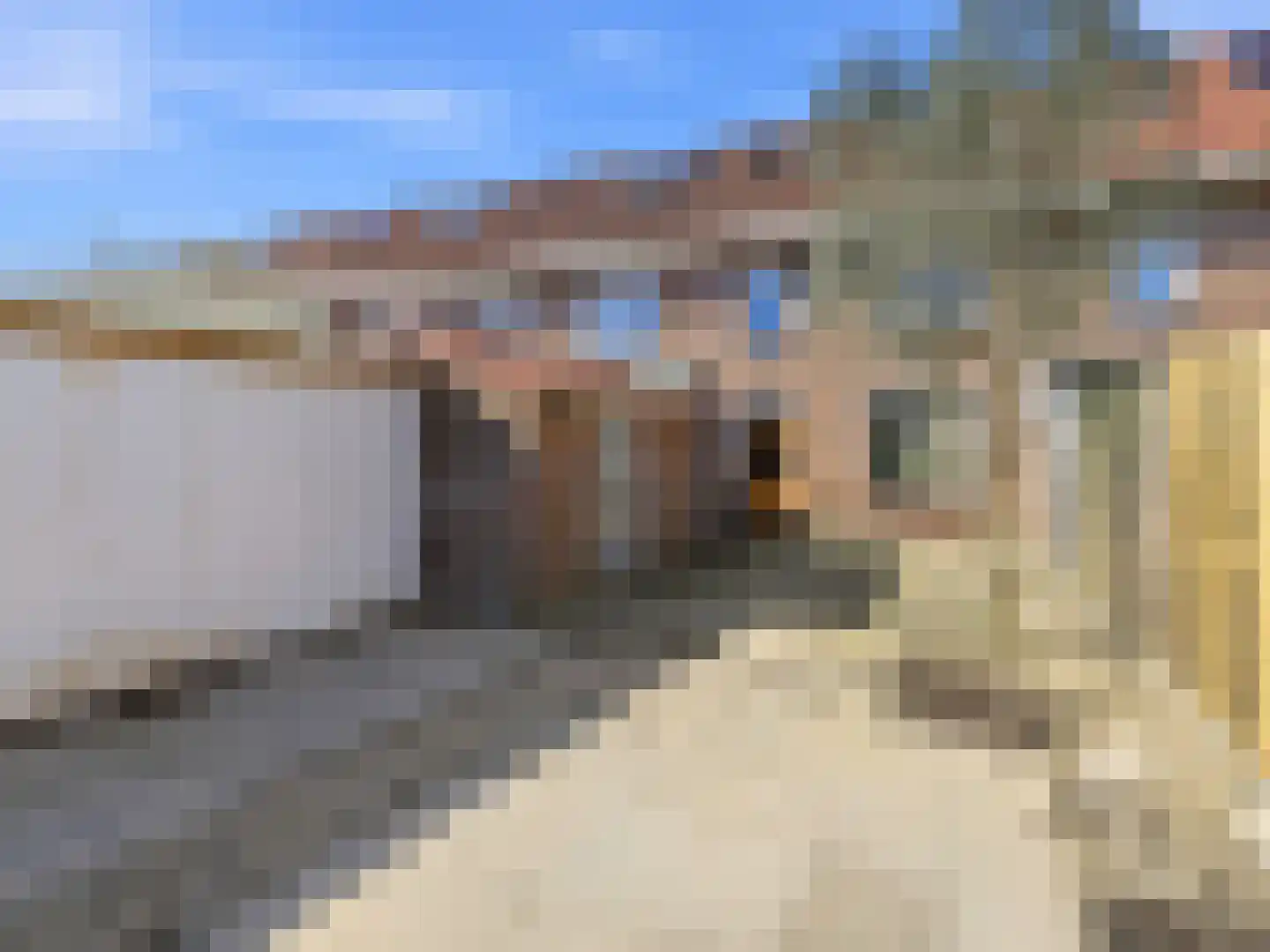 Groen van Prinstererstraat 17 Zutphen thumbnail 23