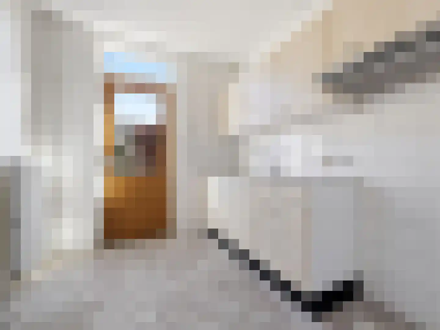 Groen van Prinstererstraat 17 Zutphen thumbnail 9