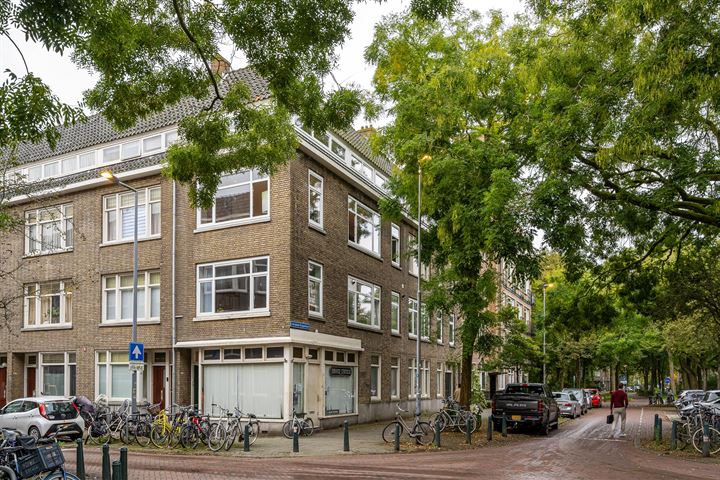 Groen van Prinstererstraat 79-02 in Rotterdam foto