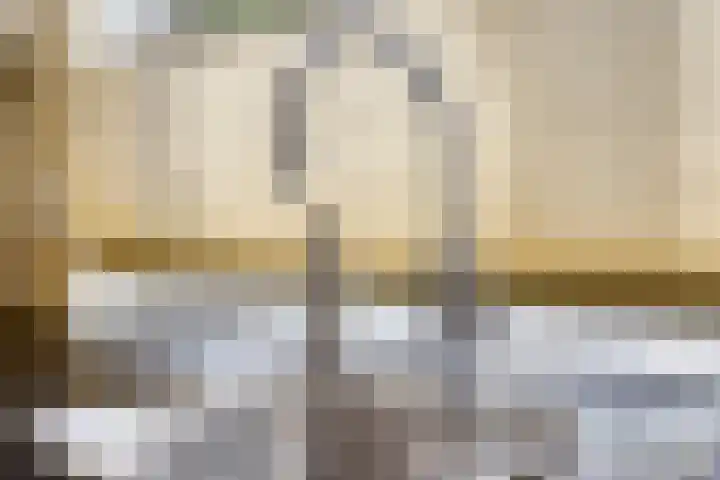 Groendaal 6 Pijnacker thumbnail 15