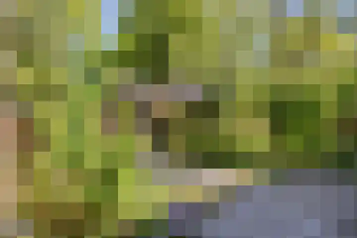 Groendaal 6 Pijnacker thumbnail 31