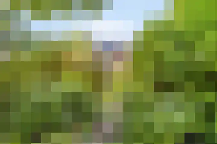 Groendaal 6 Pijnacker thumbnail 32