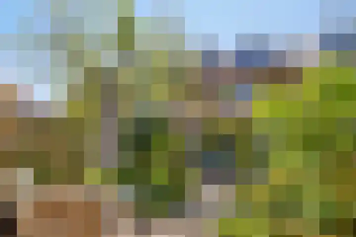 Groendaal 6 Pijnacker thumbnail 33