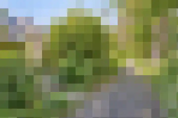 Groendaal 6 Pijnacker thumbnail 36
