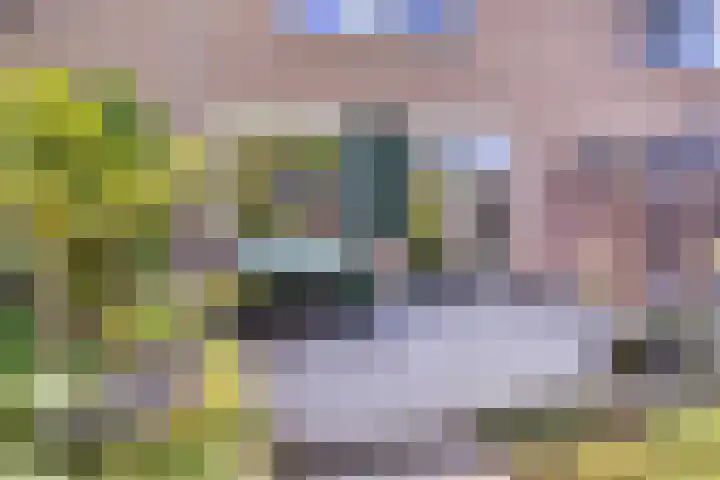 Groendaal 6 Pijnacker thumbnail 7