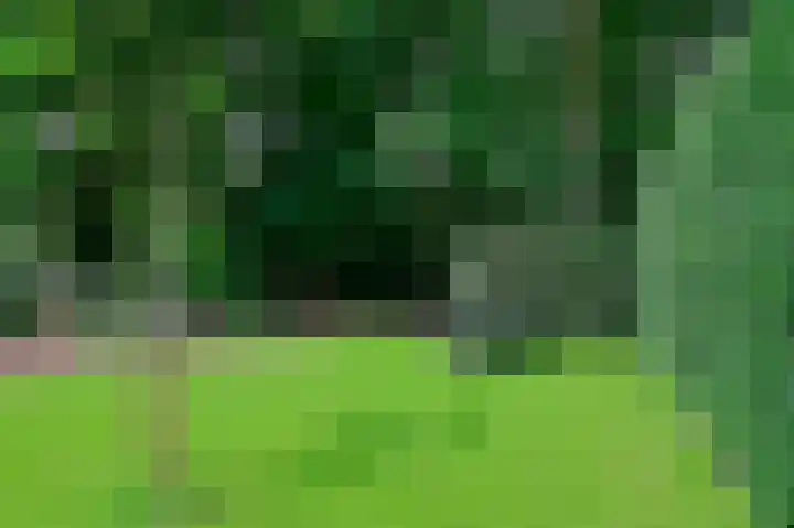 Groene Allee 2 a Ermelo thumbnail 21