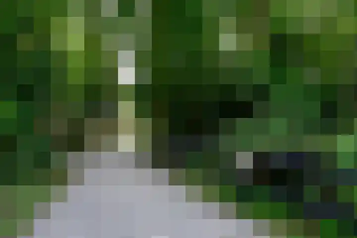 Groene Allee 2 a Ermelo thumbnail 22